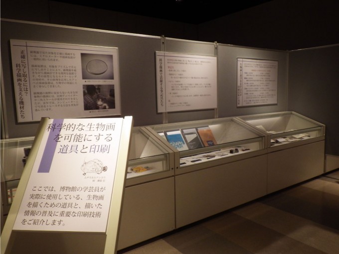 展示の様子(画像)