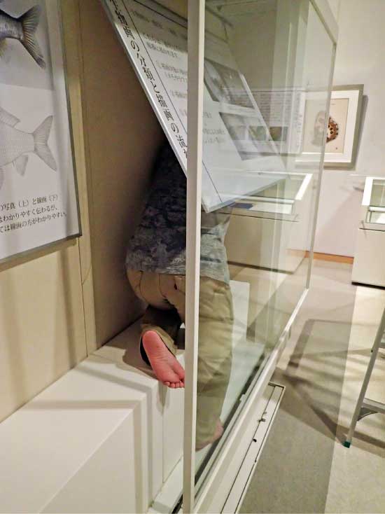 展示の準備の様子(写真)