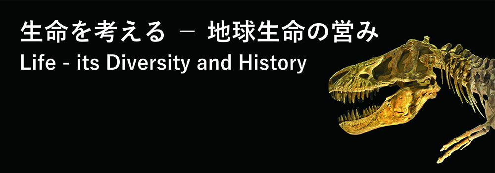生命を考えるタイトルバナー