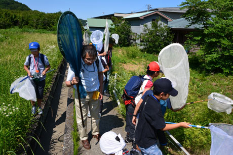フィールドで網を持つ参加者