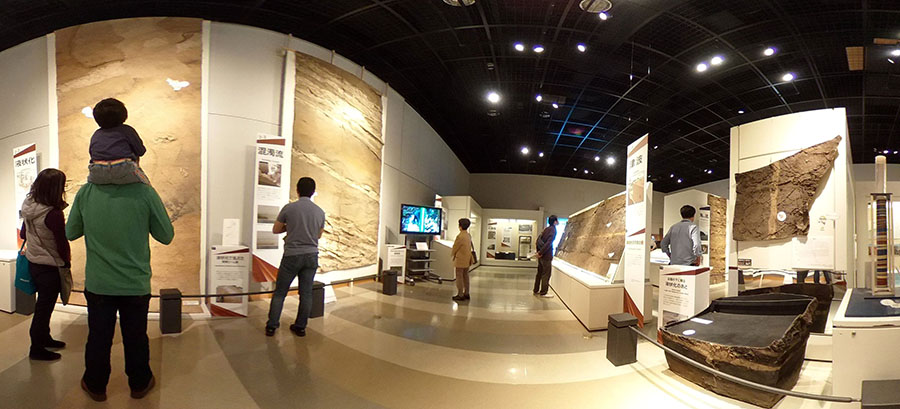 特別展、地球をはぎ取るの展示