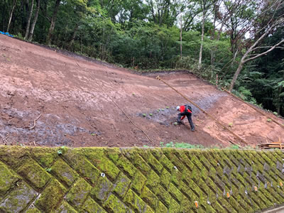 火山灰・軽石・スコリアなどの堆積の画像
