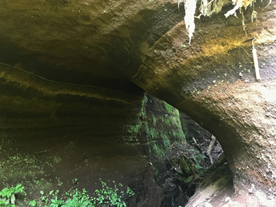 静岡県小山町の姶良Tnテフラの画像