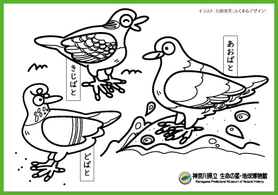 はとのぬりえのイメージ画像
