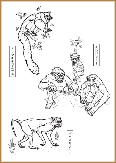 サルのぬりえシートのイメージ画像