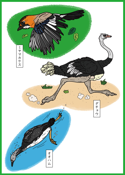 とりのぬりえ見本のイメージ画像