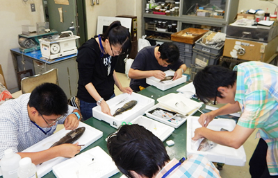 博物館実習の様子の写真１