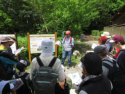 箱根火山の説明