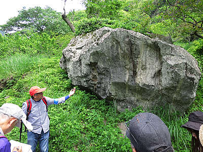 幕山溶岩の説明