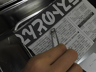 軟体動物解剖講座 スルメイカ4
