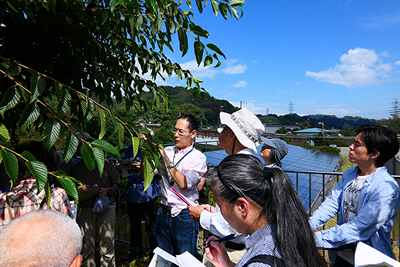 植物図鑑の使い方2