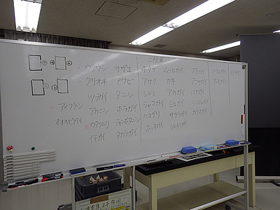 貝殻のふしぎを調べよう1