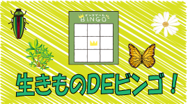 生きものでビンゴのバナー画像