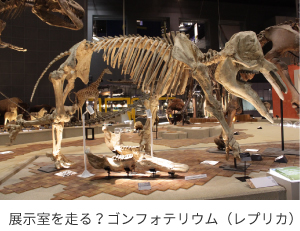 ゴンフォテリウム(レプリカ)の画像