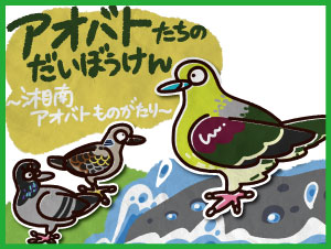 アオバトの紙芝居風動画