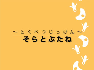 「とくべつじっけん―そらとぶたね―」動画イメージ