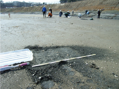工事現場での地層のはぎ取り箇所