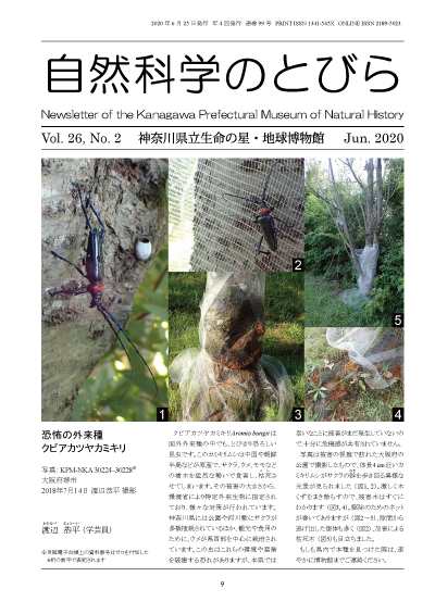 自然科学のとびら Vol.26,No.2 表紙