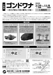 企画展「ゴンドワナ」チラシ裏
