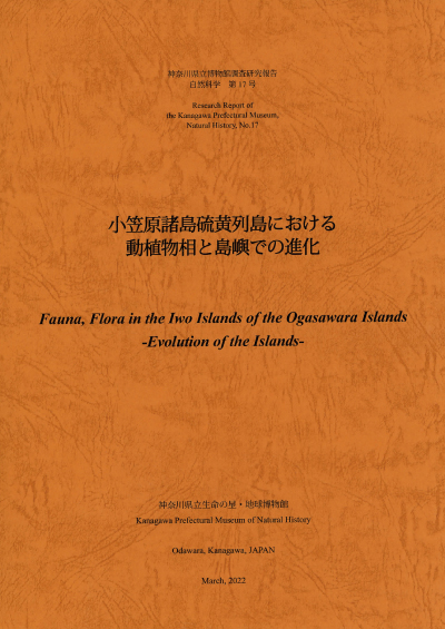 調査研究報告の表紙