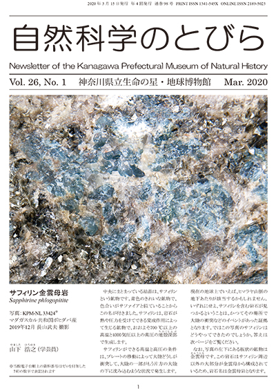 自然科学のとびら Vol.26,No.1 表紙