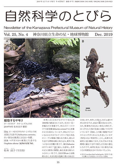 自然科学のとびら Vol.25, No.4 表紙