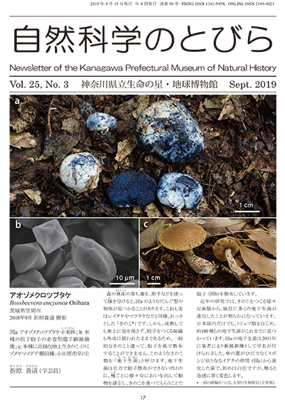 自然科学のとびら Vol.25,No.3 表紙