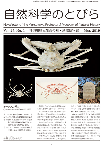 自然科学のとびら Vol.25,No.1 表紙