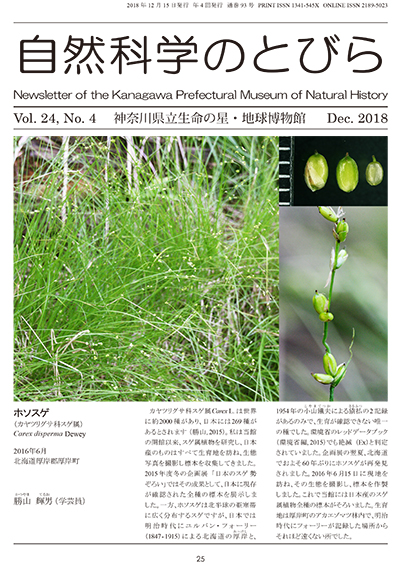自然科学のとびら Vol.24,No.4 表紙