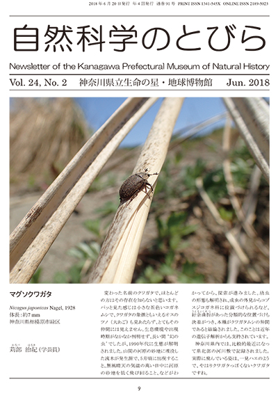 自然科学のとびら Vol.24,No.2 表紙
