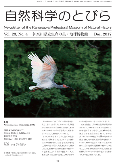 自然科学のとびら Vol.23, No.4 表紙