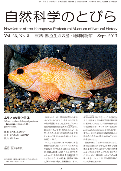 自然科学のとびら Vol.23,No.3 表紙