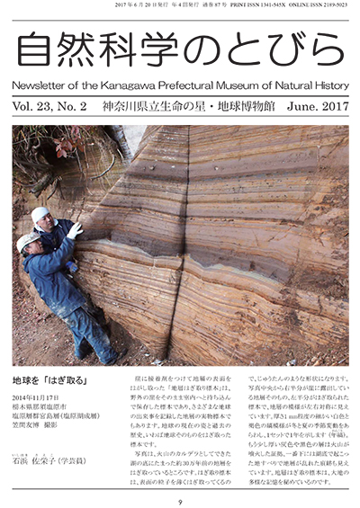 自然科学のとびら Vol.23,No.2 表紙