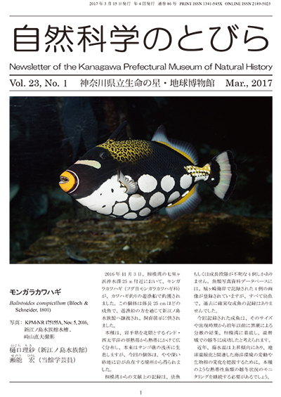 自然科学のとびら Vol.23,No.1 表紙