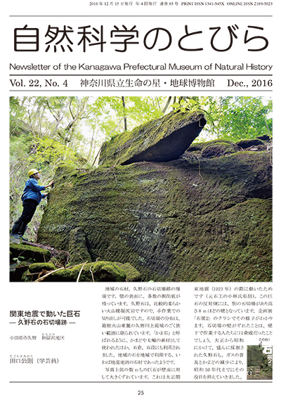 自然科学のとびら Vol.22,No.4 表紙