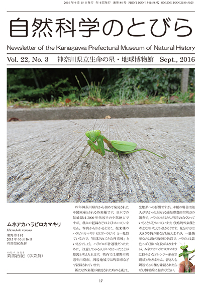 自然科学のとびら Vol.22,No.3 表紙