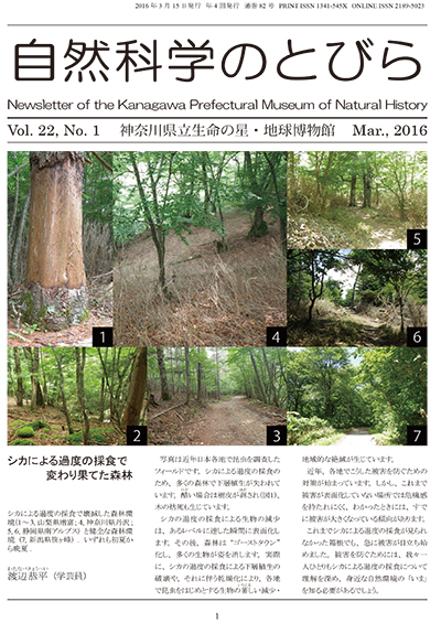 自然科学のとびら Vol.22,No.1 表紙