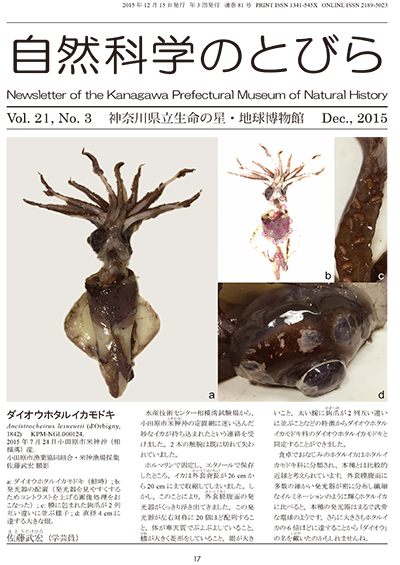 自然科学のとびら Vol.21,No.3 表紙