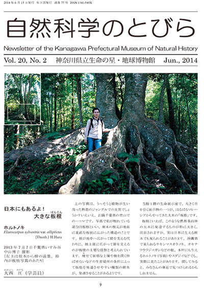 自然科学のとびら Vol.20,No.2 表紙