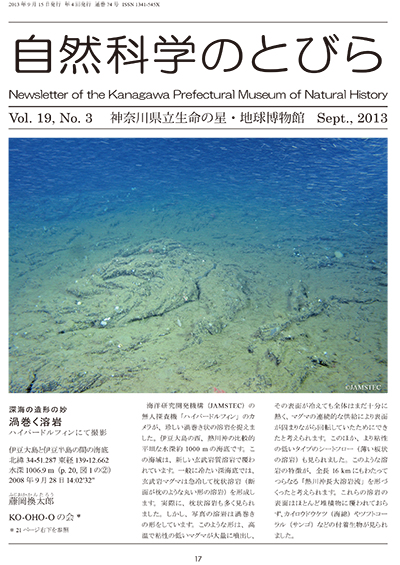 自然科学のとびら Vol.19,No.3 表紙