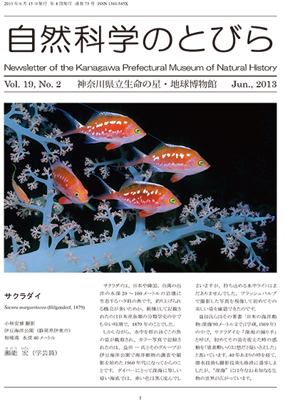 自然科学のとびら Vol.19,No.2 表紙