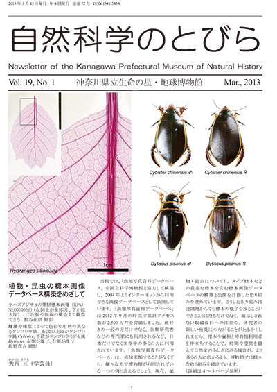 自然科学のとびら Vol.19,No.1 表紙