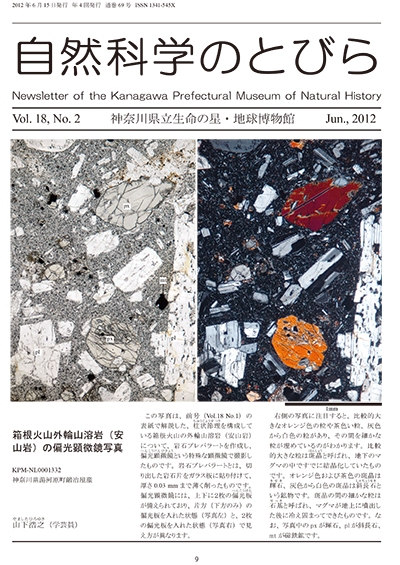 自然科学のとびら Vol.18,No.2 表紙