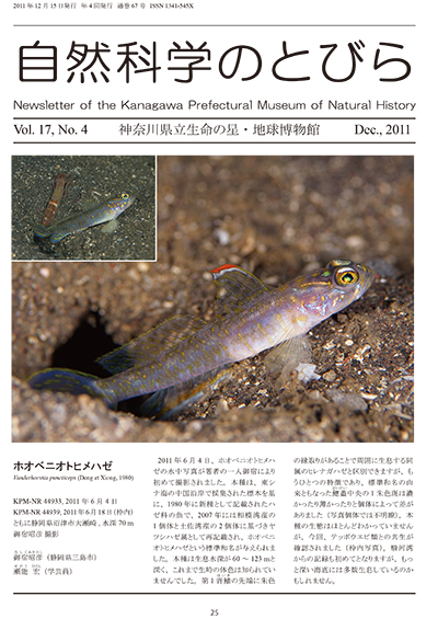 自然科学のとびら Vol.17, No.4 表紙