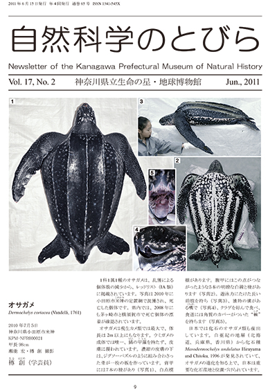 自然科学のとびら Vol.17,No.2 表紙