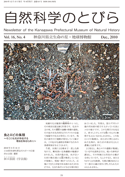 自然科学のとびら Vol.16,No.4 表紙