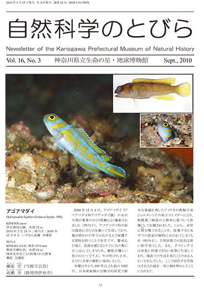 自然科学のとびら Vol.16,No.3 表紙