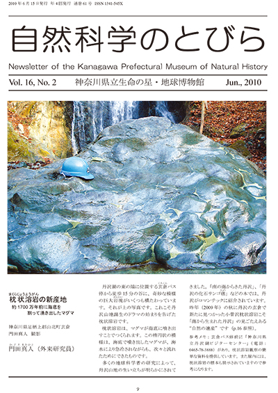 自然科学のとびら Vol.16,No.2 表紙