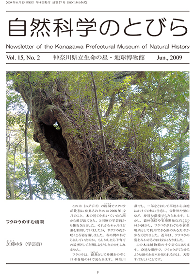 自然科学のとびら Vol.15,No.2 表紙