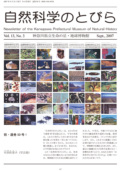 自然科学のとびら Vol.13 No.3 表紙